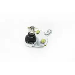 Hardrace Q0317 Front Lower Ball Joint Lexus, Scion, Toyota - 