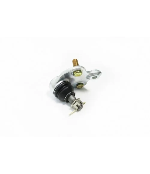 Hardrace Q0317 Front Lower Ball Joint Lexus, Scion, Toyota - 