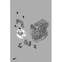 Hardrace Q0731 Harden Engine Mount Set Ford Focus - 