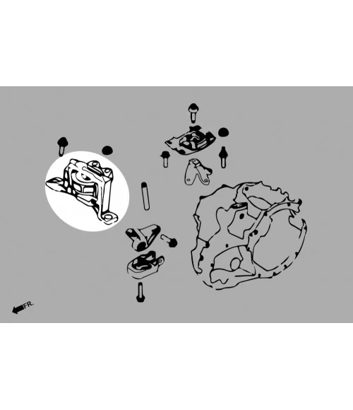 Hardrace Q0826 Supporto motore lato destro Ford Focus - 