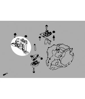 Hardrace Q0826 Supporto motore lato destro Ford Focus - 