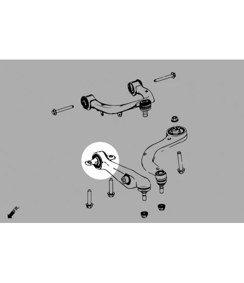 Hardrace Q0861 Front Lower Front Arm Bushing - Inner Tesla Model 3, Model y - 