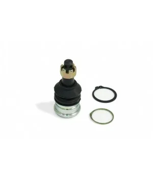Giunto sferico anteriore inferiore Hardrace Q1008 Honda Fit / jazz, CITY - 