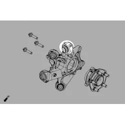 Hardrace Q1273 Rear Knuckle Bushing - Upper/lower Tesla MODEL 3, Model y - 