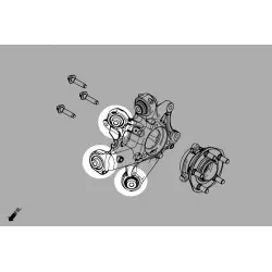 Hardrace Q1274 Rear Knuckle Bushing - Upper Front/front/lower Front Tesla MODEL 3, Model y - 