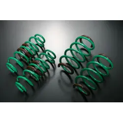 Molle Tein S-Tech per Audi A4 B7 (Quattro) - 