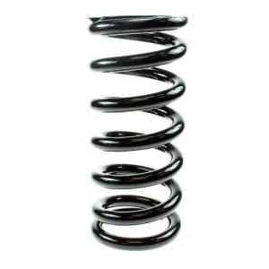BC Racing Molla 5KG Lineare 62.170.005