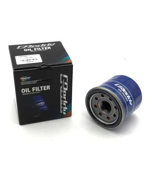 KIT OLIO Motul 300v Competition 5w40 6L + filtro Greddy (Honda S2000)