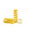 OHLINS Road & Track per Honda S2000 AP1 AP2 (1999-2009) HOS MI21S2
