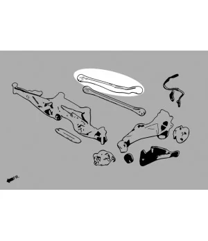 Hardrace 8742 Rear Upper Arm Bmw, Mini - 