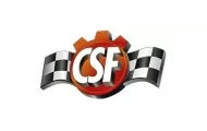 CSF