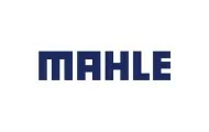Mahle