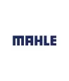 Mahle